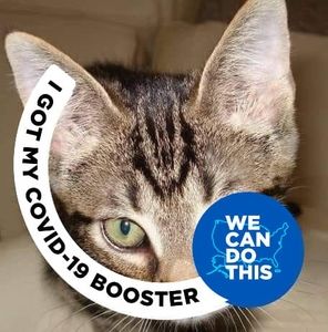 Meet your Posher, Claire